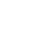 logo IRPO white
